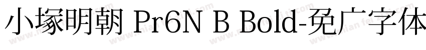 小塚明朝 Pr6N B Bold字体转换